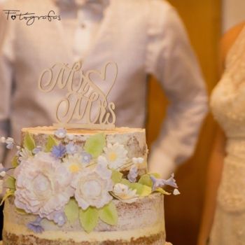 CORTE DE LA TARTA CORTE DE LA TARTA